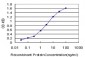 RAB3A Antibody (monoclonal) (M01)